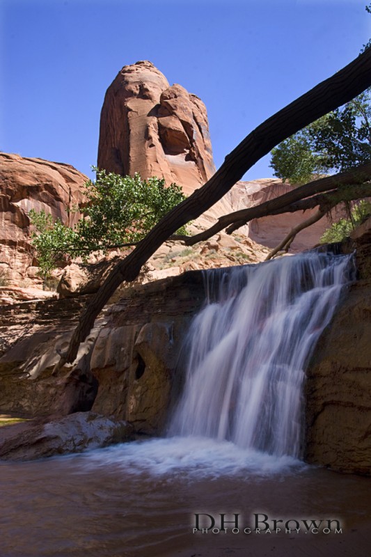 Coyote provides waterfalls and buttes. What more do you want?