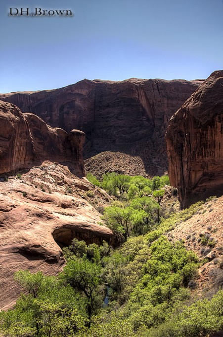 A view into Coyote Gulch from the head of a side canyon.