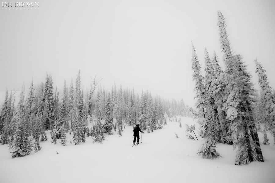 Paul Cullen heads through snow blanketed trees south of the Scapegoat Wilderness in western Montana.