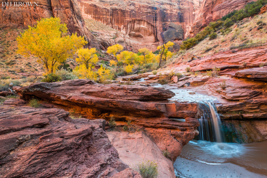 The first of many waterfalls in Coyote Gulch.